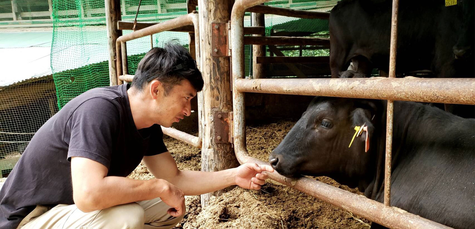 葉山牛、葉山石井牛のステーキや焼肉が楽しめるお店　焼肉 わがんせ